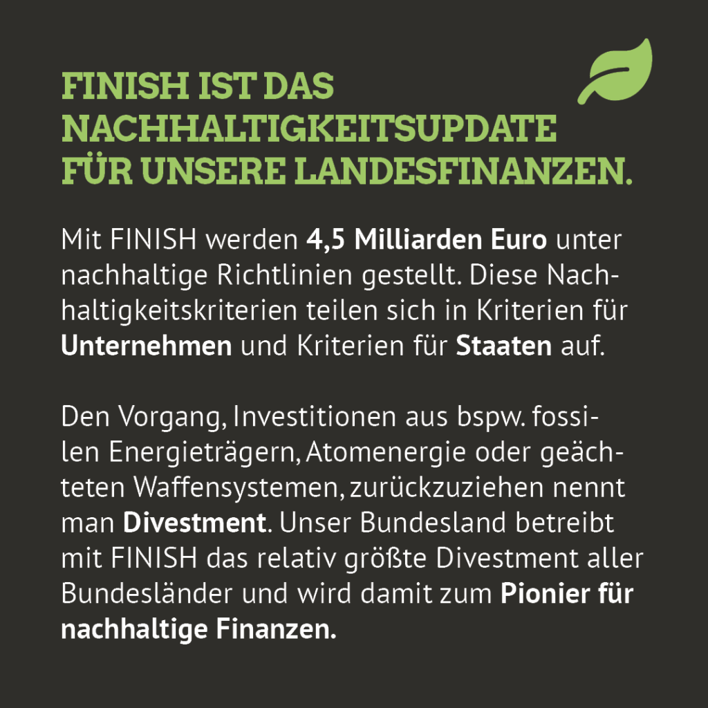 Lasse Petersdotter zur Finanzstrategie Nachhaltigkeit in Schleswig-Holstein (FINISH Gesetz)